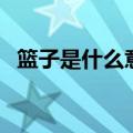 篮子是什么意思东北话（篮子是什么意思）
