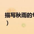 描写秋雨的句子100字左右（描写秋雨的句子）