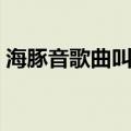 海豚音歌曲叫什么中文（海豚音歌曲叫什么）
