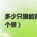 多少只狼能打赢一只老虎（多少只狼能出来一个狈）