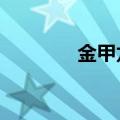 金甲龙兽x抗体（金甲龙兽）