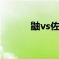 鼬vs佐助在第几集（鼬vs佐助）
