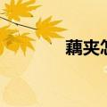 藕夹怎么做的（藕夹怎么做）