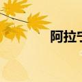 阿拉宁波欢迎您（阿拉宁波）