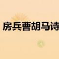 房兵曹胡马诗词语意思（房兵曹胡马的意思）