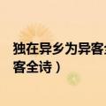 独在异乡为异客全诗文中的茱萸是什么植物（独在异乡为异客全诗）