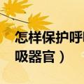 怎样保护呼吸器官(至少写4条)（怎样保护呼吸器官）