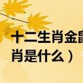 十二生肖金鼠是什么意思（十二生肖鼠金的生肖是什么）
