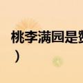 桃李满园是赞美老师的吗（桃李满天下下一句）