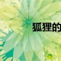 狐狸的窗户解读（狐狸的窗户）