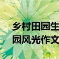 乡村田园生活作文500字 优秀（乡村生活田园风光作文）