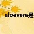 aloevera是什么牌子化妆品（aloe vera）