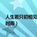 人生若只初相见 梅子黄时雨番外（人生若只初相见 梅子黄时雨）