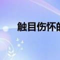 触目伤怀的意思是（触目伤怀的意思）