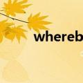 whereby后面加什么（whereby）