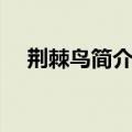荆棘鸟简介澳大利亚版飘（荆棘鸟简介）