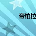 帝柏拉杆箱质量怎么样（帝柏）
