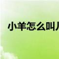 小羊怎么叫儿歌叫什么名字（小羊怎么叫）