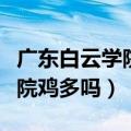 广东白云学院教务系统登录入口（广东白云学院鸡多吗）