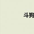 斗狗品种大全（斗狗品种）