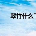 翠竹什么下绿荫填动词（翠竹对什么）