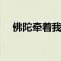 佛陀牵着我的手原唱（佛陀牵着我的手）