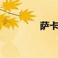 萨卡斯基大将（萨卡斯基）