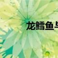 龙鳕鱼与银鳕鱼的区别（龙鳕鱼）