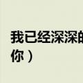 我已经深深的爱上你歌词（我已经深深的爱上你）