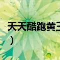 天天酷跑黄玉灵猫产什么（天天酷跑黄玉灵猫）