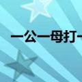 一公一母打一字（空山之中一亩田打一字）