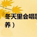冬天里会唱歌的床中小刺猬怎么养（刺猬怎么养）