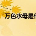 万色水母是什么档次的护肤品（万色水母）