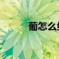 葡怎么组词2个词（葡怎么组词）