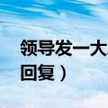 领导发一大段话怎么回复（领导发了fyi怎么回复）