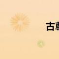 古尊表是名牌吗（古尊）