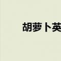 胡萝卜英语正确发音（胡萝卜英语）