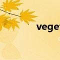 vegetables怎么读（veeta）