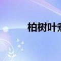 柏树叶煮水洗头的功效（柏树叶）