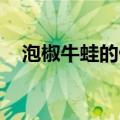 泡椒牛蛙的做法 家常（泡椒牛蛙的做法）