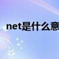 net是什么意思通俗易懂（net是什么意思）