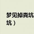 梦见掉粪坑是什么意思 周公解梦（梦见掉粪坑）