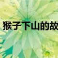 猴子下山的故事视频播放（猴子下山的故事）