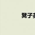 凳子英语怎么说（凳子英语）