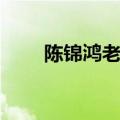 陈锦鸿老婆个人近况（陈锦鸿老婆）