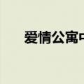 爱情公寓中打游戏（爱情公寓中打cs）