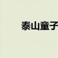 泰山童子好吗（泰山童子能结婚吗）