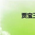 贾宝玉最后的结局（贾宝玉）