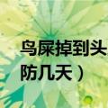 鸟屎掉到头上有什么不好（鸟屎掉到头上 要防几天）