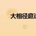 大相径庭造句三十字（大相径庭造句）